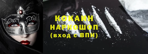 стаф Аркадак