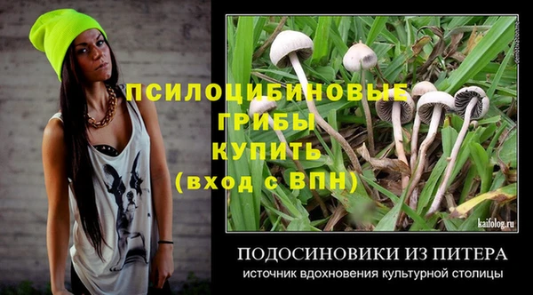 стаф Аркадак