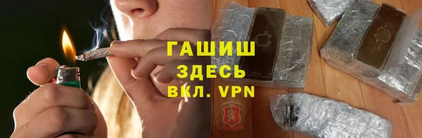 стаф Аркадак