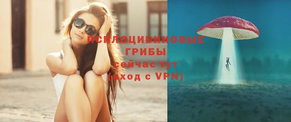 стаф Аркадак