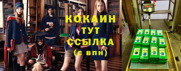 стаф Аркадак