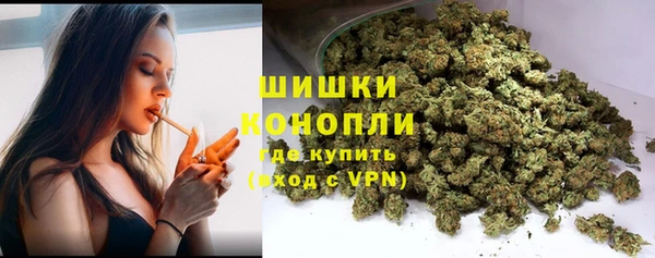трава Армянск
